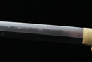 Katana Antigua Japonesa de Tachibana Munehiro con Koshirae Dorado