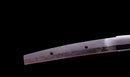 Katana Antigua Japonesa Ryokai Shigeyoshi - Hozon