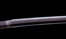 Katana Antigua Japonesa Ryokai Shigeyoshi - Hozon