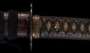 Katana Antigua Japonesa, Espada del Período Edo Tardío con Koshirae de Shishi