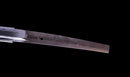 Katana Antigua Japonesa, Espada del Período Edo Tardío con Koshirae de Shishi