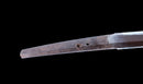 Katana Antigua Japonesa con Menuki de Libélula Tombo y Tsuba de Paisaje Sansui