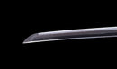 Katana Antigua Japonesa firmada Kojima Katsumasa con Tsuba de Hierro de Paisaje