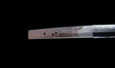 Katana Antigua Japonesa, Tsuba de Aves Acuáticas firmada Awataguchi