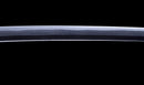 Katana Antigua Japonesa con Koshirae de Laca Negra y Tsuba de Hierro con Motivo de Plumas firmada Chikushi Tadamasa - Hozon