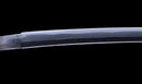 Katana Antigua Japonesa con Koshirae de Laca Negra y Tsuba de Hierro con Motivo de Plumas firmada Chikushi Tadamasa - Hozon