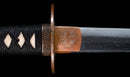 Katana Antigua Japonesa con Tsuba de Hierro con Incrustaciones de Oro, Atribuida a Chikuzen Nobukuni — NBTHK Hozon