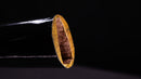 Katana Antigua Japonesa firmada Taira Sadashige