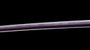 Katana Antigua Japonesa firmada Hitachi no Kami Muneshige, NBTHK Hozon