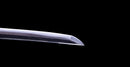 Katana Antigua Japonesa firmada Takada Jū Fujiwara Muneyuki - HOZON