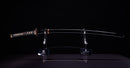 Katana Antigua Japonesa de la Escuela Ishido - NBTHK Hozon